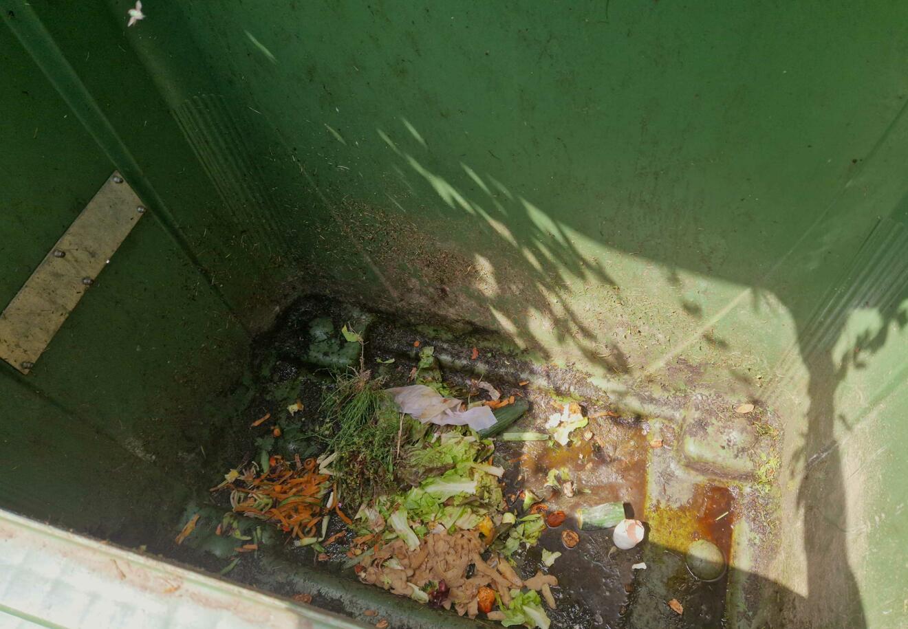 contreag-containerreinigung-gruengut-gross-vorher-2.jpg